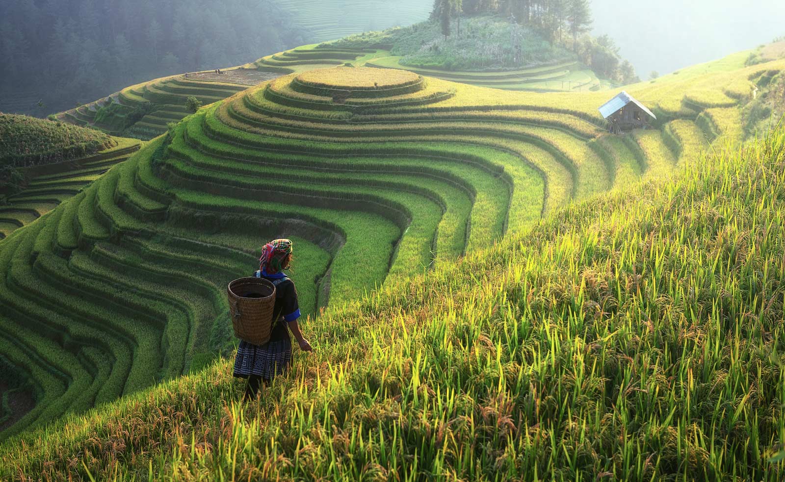 Things to outside of Hanoi Trekking in Sapa